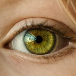 Appareil de bilan iridologique : et si l’oeil nous révélait tout ?